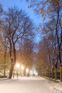 一个神话般的冬季城市公园的行人路