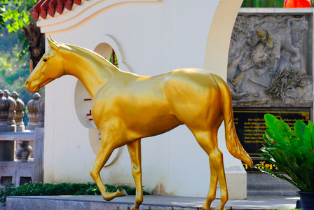 世界上最贵的金色马图片