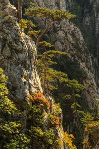 在特兰西瓦尼亚阿尔卑斯山的风景