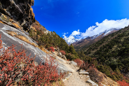 在喜马拉雅山风光