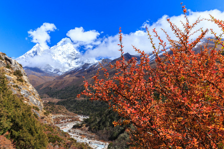 在喜马拉雅山风光