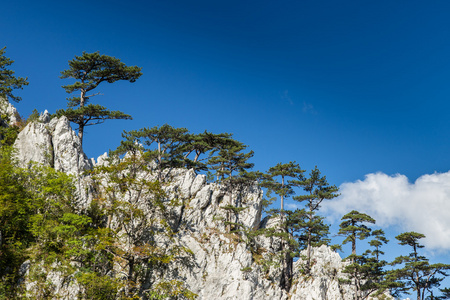 在特兰西瓦尼亚阿尔卑斯山的风景