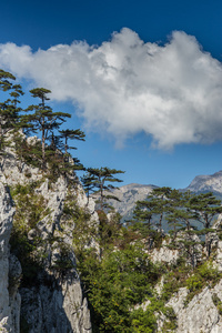 在特兰西瓦尼亚阿尔卑斯山的风景