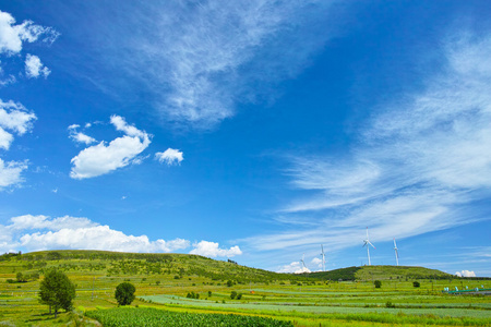 中国河北省张家口在秋天的草地