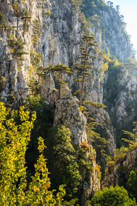 在特兰西瓦尼亚阿尔卑斯山的风景