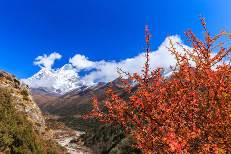 在喜马拉雅山风光