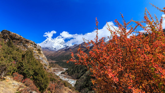 在喜马拉雅山风光