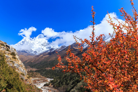 在喜马拉雅山风光