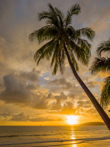 在海滩上的热带落日。南湾。甲米