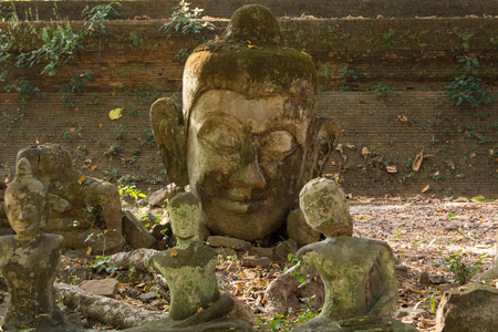 泰国，清迈，Umong 寺 梧 古老的宗教