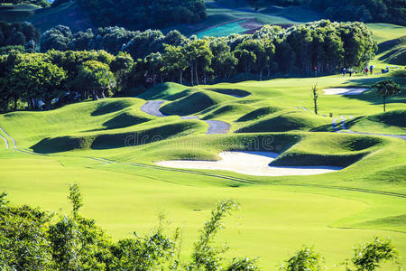 滚动的高尔夫果岭图片
