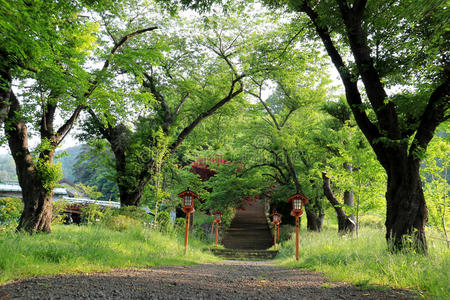 通往朱瑞托宝塔的走道，阿拉库拉森根神社