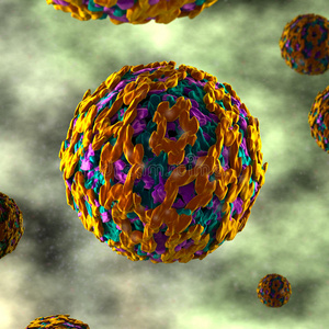 黄热病病毒-体液照片