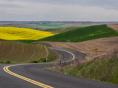 山丘上的行人路弯弯曲曲的公路穿过起伏的山丘上的麦田照片