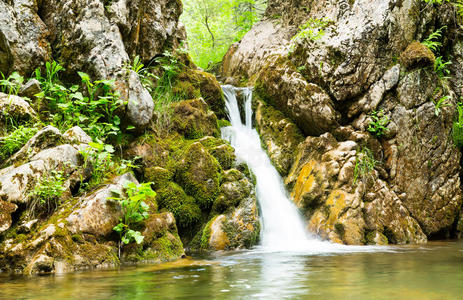 黑山森林中的瀑布