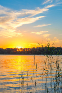 金色的夕阳湖