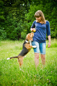 带着小猎犬犬的女人