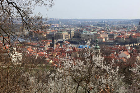 春天的布拉格景色