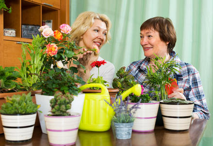 两个拿着花盆的老妇人
