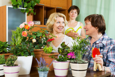 桌边的女人和女孩拿着花盆