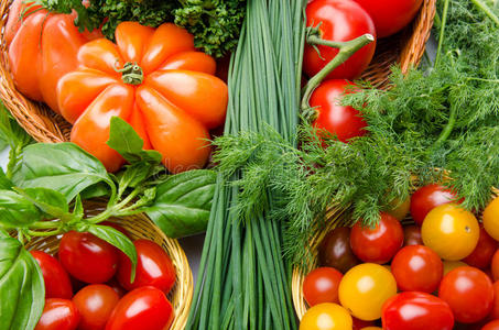 不同品种番茄与草本植物的组成