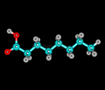 庚烷酸分子