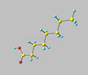 庚烷酸分子的分离