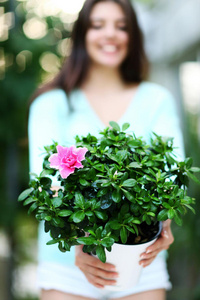 花盆里拿着花的女人。