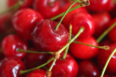 饮食 颜色 聚氨基甲酸酯 水果 食物 物体 健康 营养 樱桃
