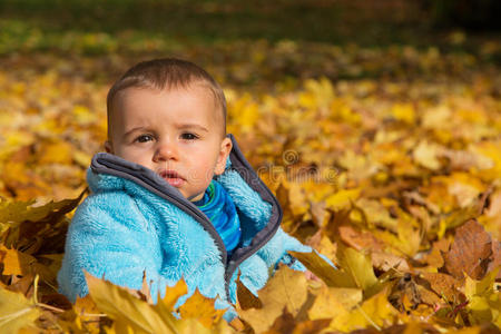 可爱的小男孩坐在枫叶里。