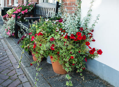 荷兰街头的花盆