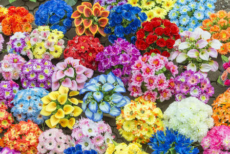 五颜六色现货五颜六色的花照片