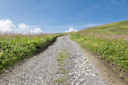 山间小道