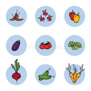 蔬菜图标集矢量插图。