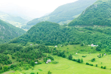 黑山山青