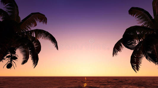 海滩上的椰子。
