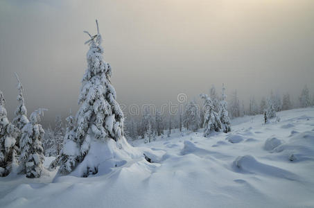 冬季山林景观