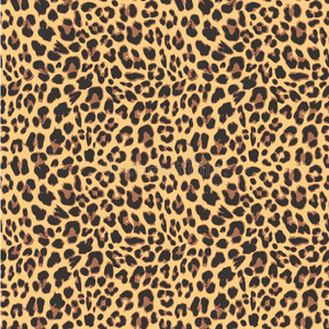 豹纹无缝图案设计,照片