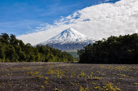 从智利拉戈托多斯洛斯桑托斯俯瞰奥索尔诺火山