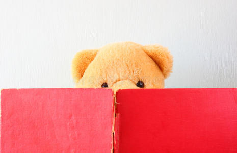 泰迪熊看书的照片。