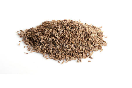 茴香籽照片