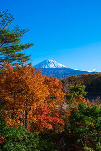 日本秋景