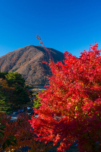 日本秋景