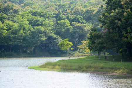 水库森林