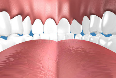 3d牙齿特写。