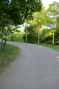 乡村沥青道路曲线