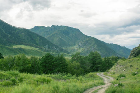 山林景观