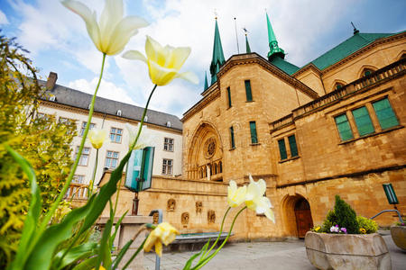 白花，圣母院大教堂，卢森堡