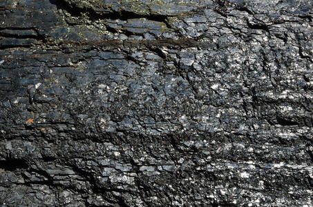 煤石图片
