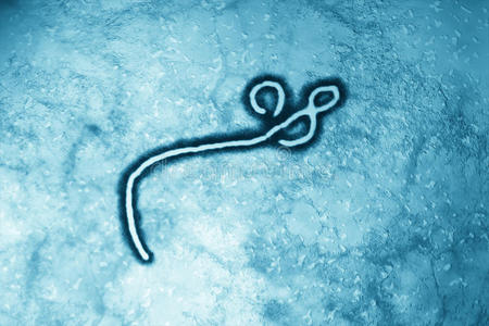 埃博拉病毒警报图片